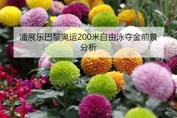 潘展乐巴黎奥运200米自由泳夺金前景分析