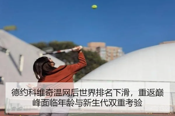 德约科维奇温网后世界排名下滑，重返巅峰面临年龄与新生代双重考验