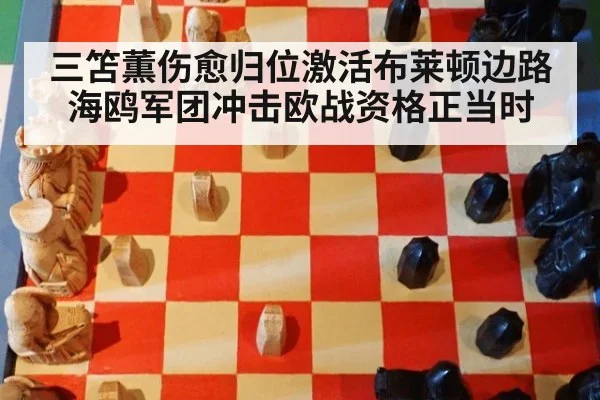 三笘薫伤愈归位激活布莱顿边路 海鸥军团冲击欧战资格正当时