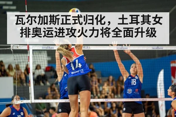volleyball match