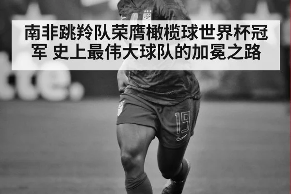 南非跳羚队荣膺橄榄球世界杯冠军 史上最伟大球队的加冕之路