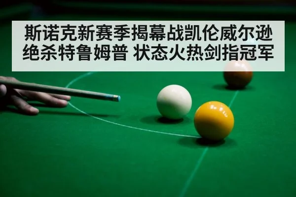 斯诺克新赛季揭幕战凯伦威尔逊绝杀特鲁姆普 状态火热剑指冠军